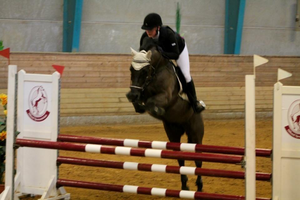 New Forest Vognmandsgården Alkatraz billede 11