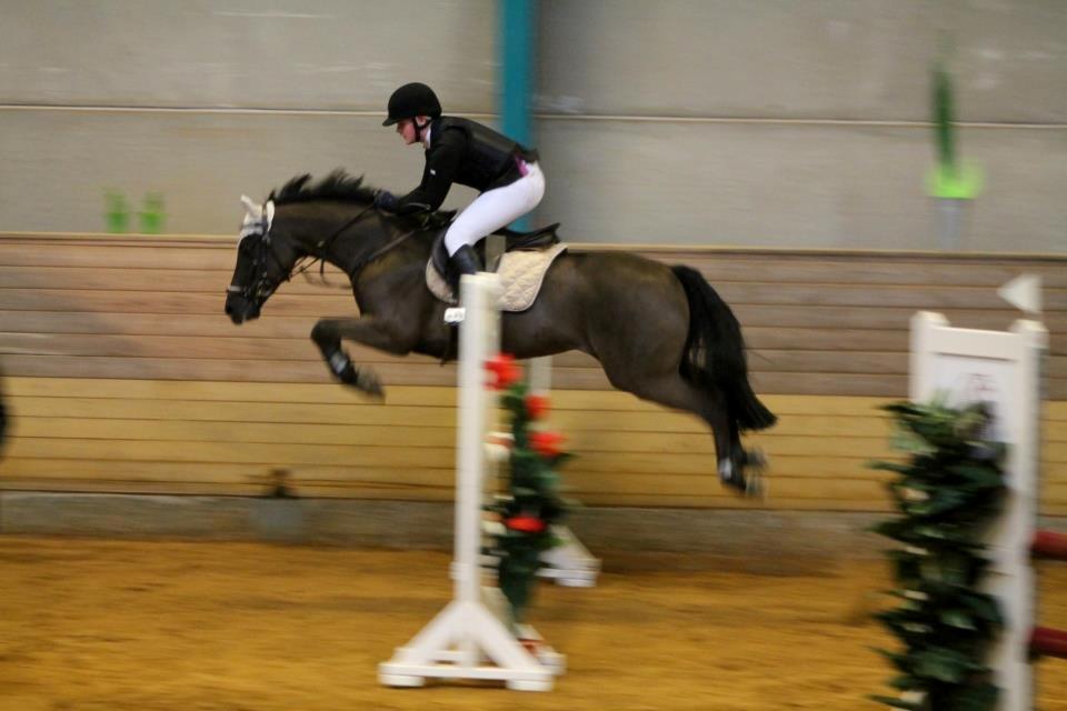 New Forest Vognmandsgården Alkatraz billede 12