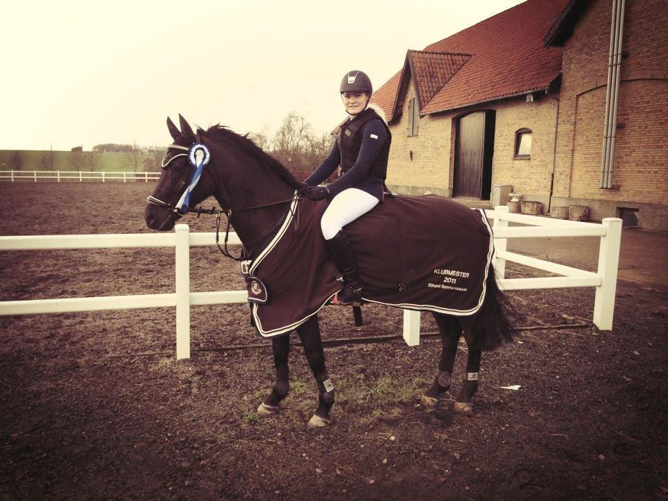 New Forest Vognmandsgården Alkatraz - 2 plads i LA* billede 13