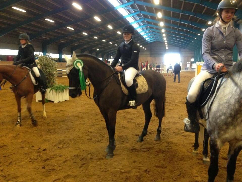 New Forest Vognmandsgården Alkatraz - 3 plads i LA** billede 14