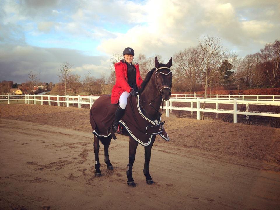 New Forest Vognmandsgården Alkatraz billede 15