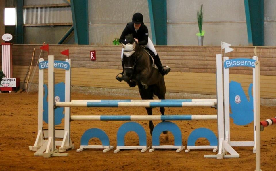 New Forest Vognmandsgården Alkatraz billede 16