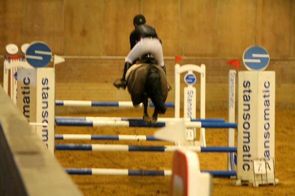 New Forest Vognmandsgården Alkatraz billede 18