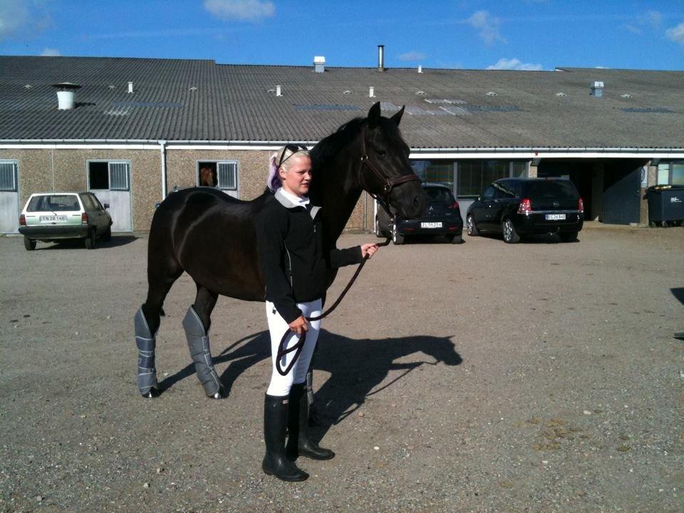 New Forest Vognmandsgården Alkatraz - Klar for stævne billede 19