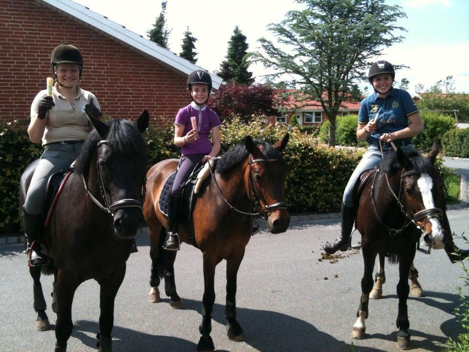 New Forest Vognmandsgården Alkatraz - sommer!! billede 20