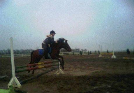 New Forest »{Miss Tanja }« † 04-05-09 † billede 20