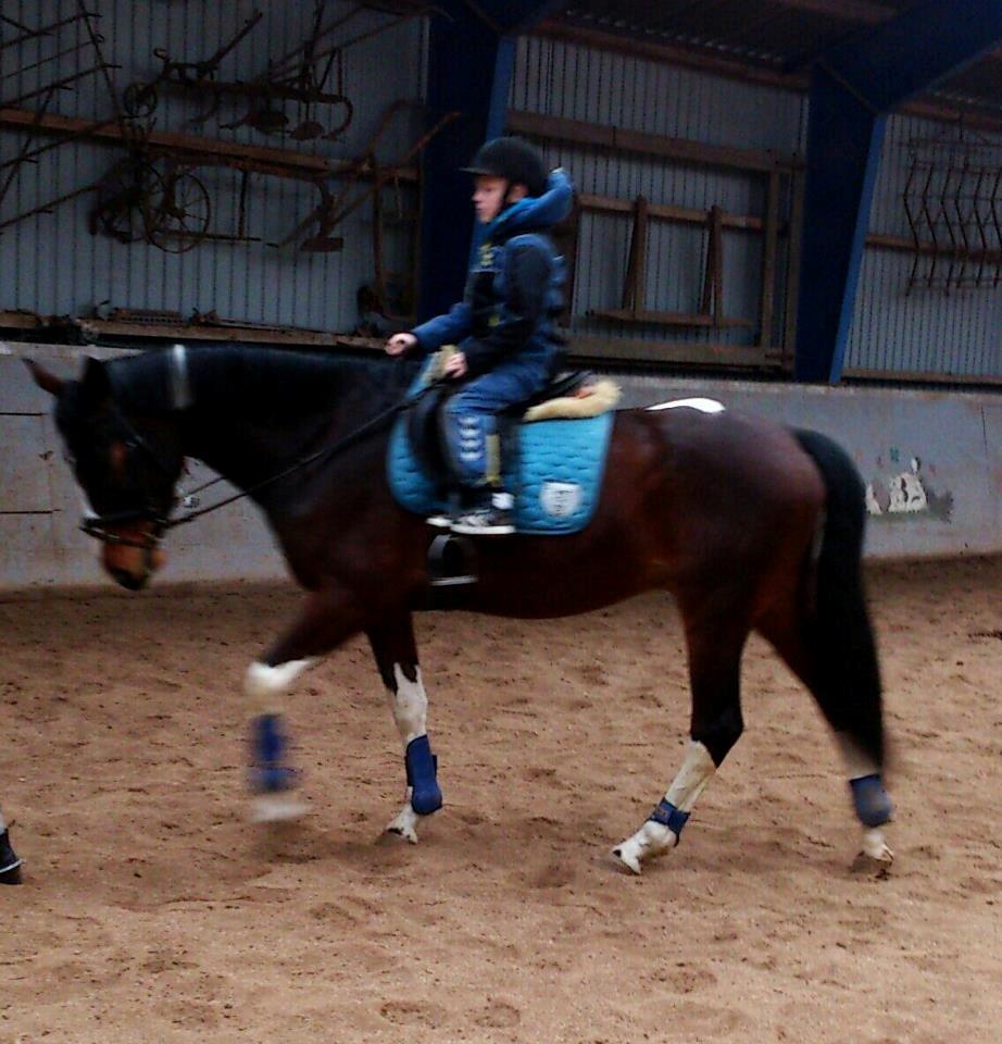 Pinto Kejser - lux og kejser billede 9