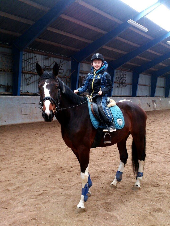 Pinto Kejser billede 12