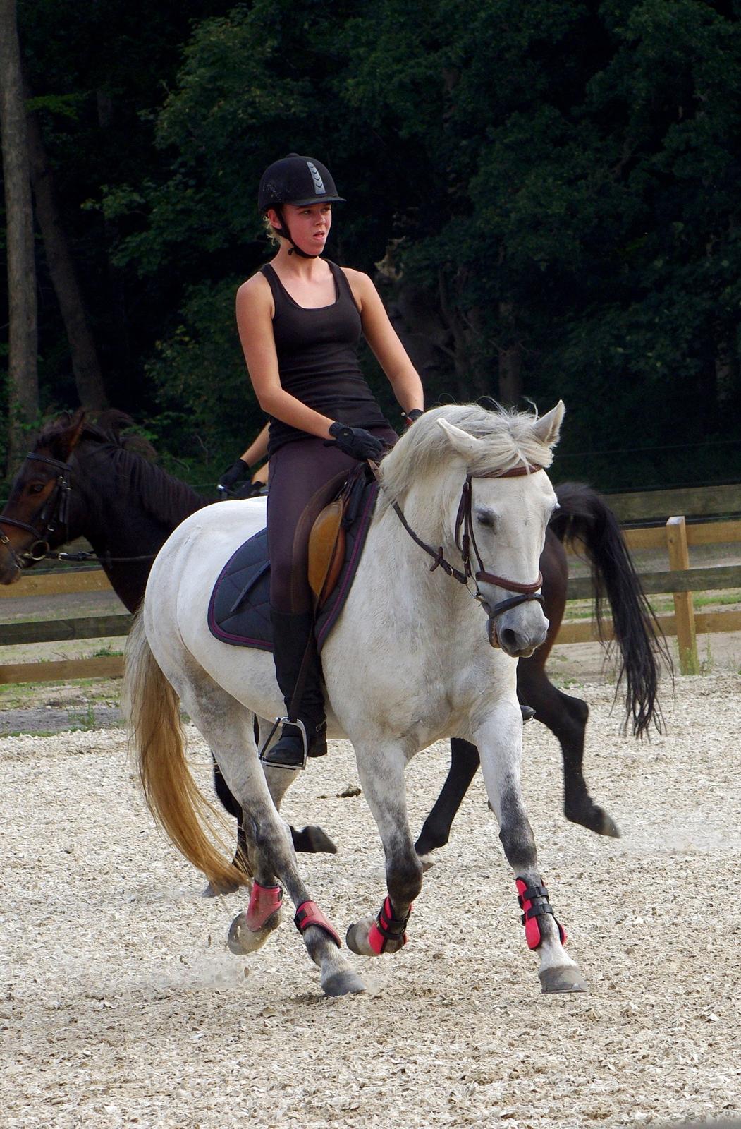 Anden særlig race Jessie billede 17