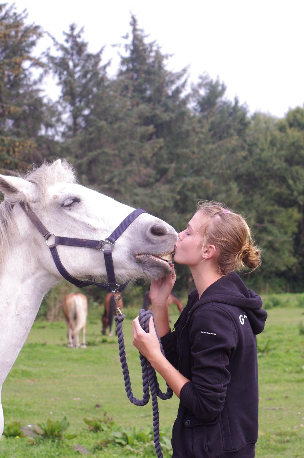 Anden særlig race Jessie billede 19