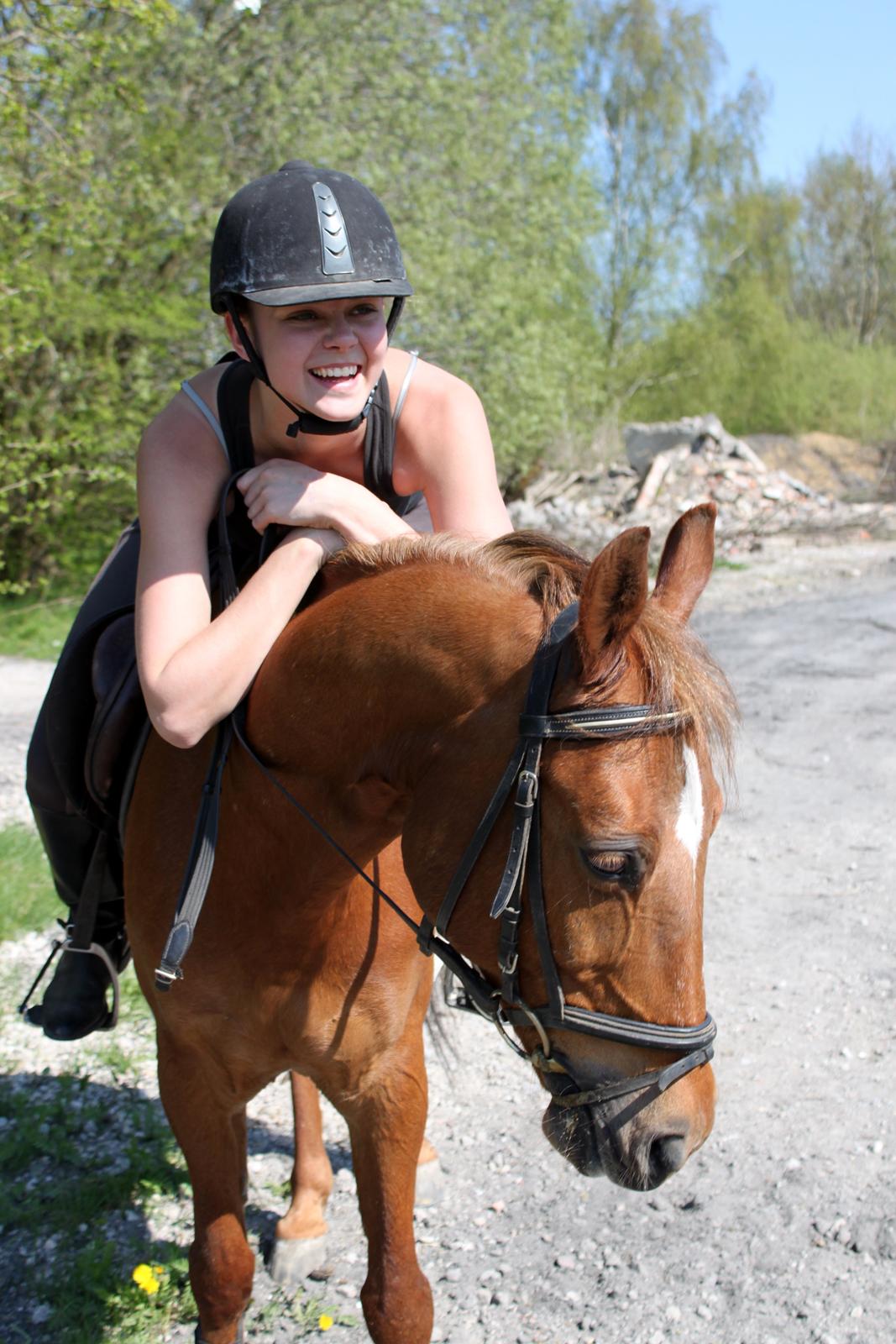 Anden særlig race Piccolo billede 2