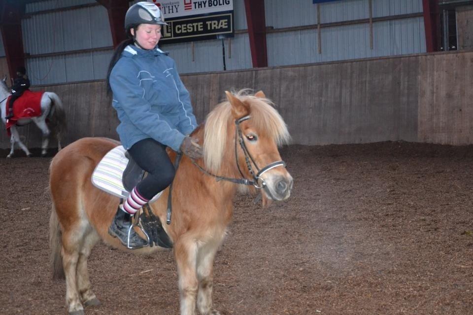 Anden særlig race Maj billede 9