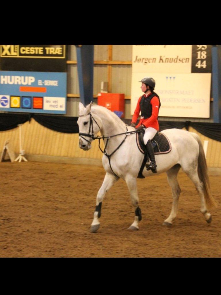 Holstener Uganda (Baby) billede 21