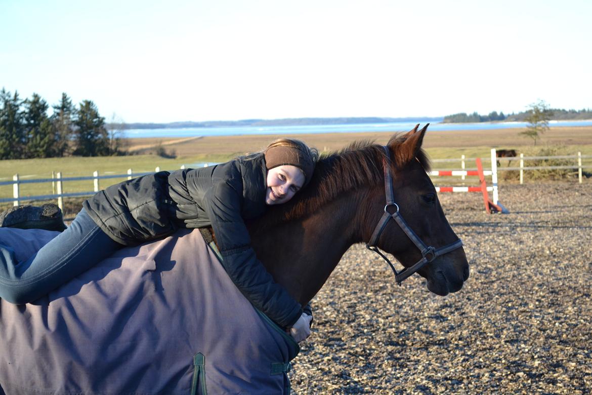 Anden særlig race Fabian - Elsker min dreng :-* billede 14