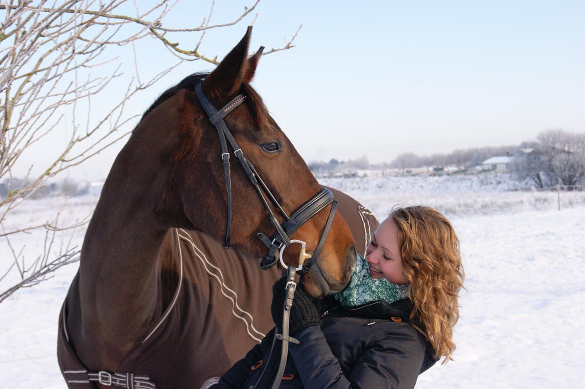 Anden særlig race Rapsodia - Et billede, der siger mere end ord<3 billede 19
