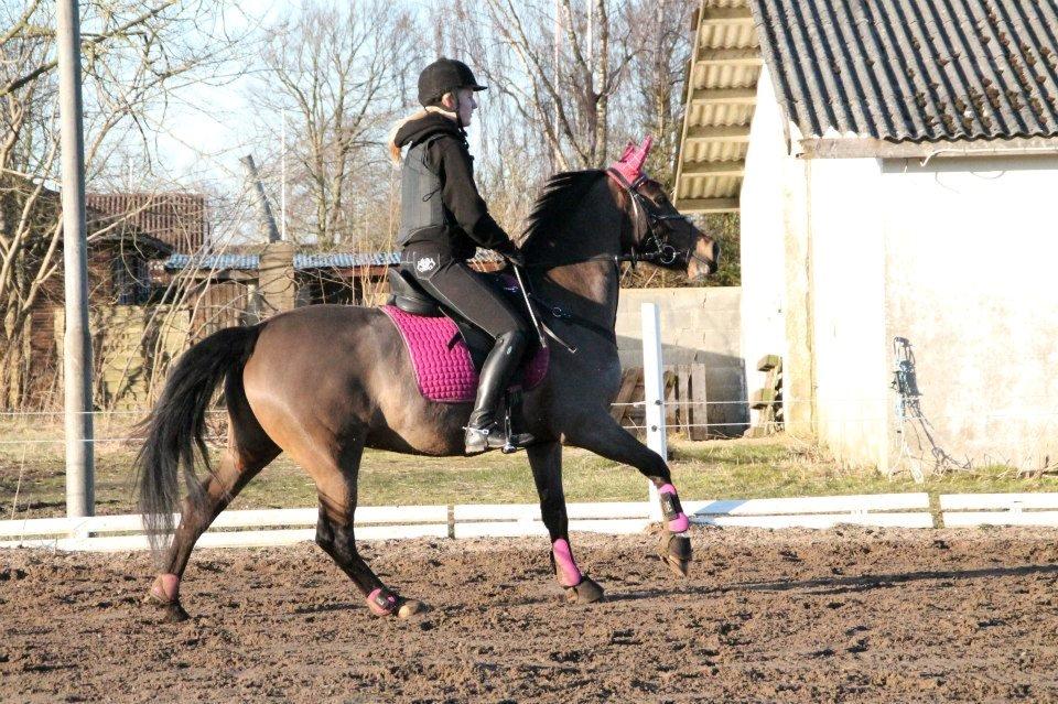 Anden særlig race Bonette  - Første gang på den udendørs bane i år :-)  billede 18