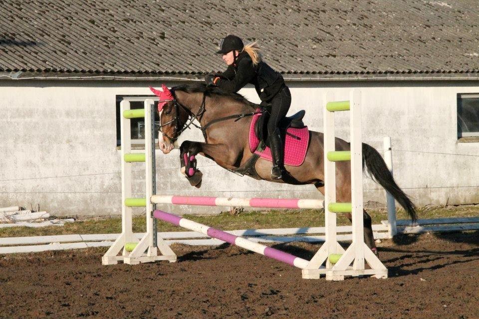 Anden særlig race Bonette  - Første springtræning udendørs i 2013 :-)  billede 6