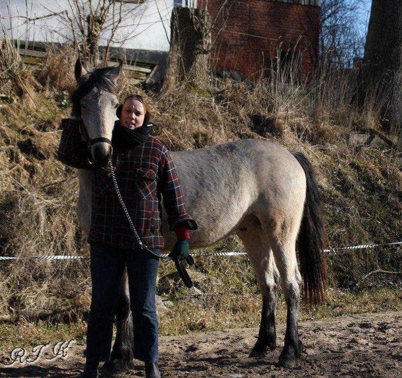 Barockpferd Birkegaards Braveheart R.I.P - Brave og mig Marts 13 billede 13