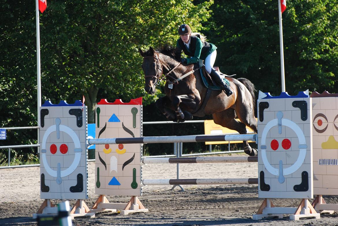 Hannoveraner Carlos/Check In - Riders Cup - 2012 billede 4