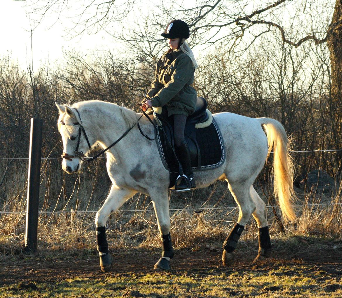 Anden særlig race White Boy - Julie og White Boy - Marts 2013. billede 2