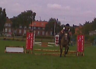 Connemara Nørlunds Targa/Conrad billede 13