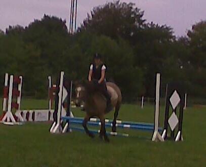 Connemara Nørlunds Targa/Conrad billede 14