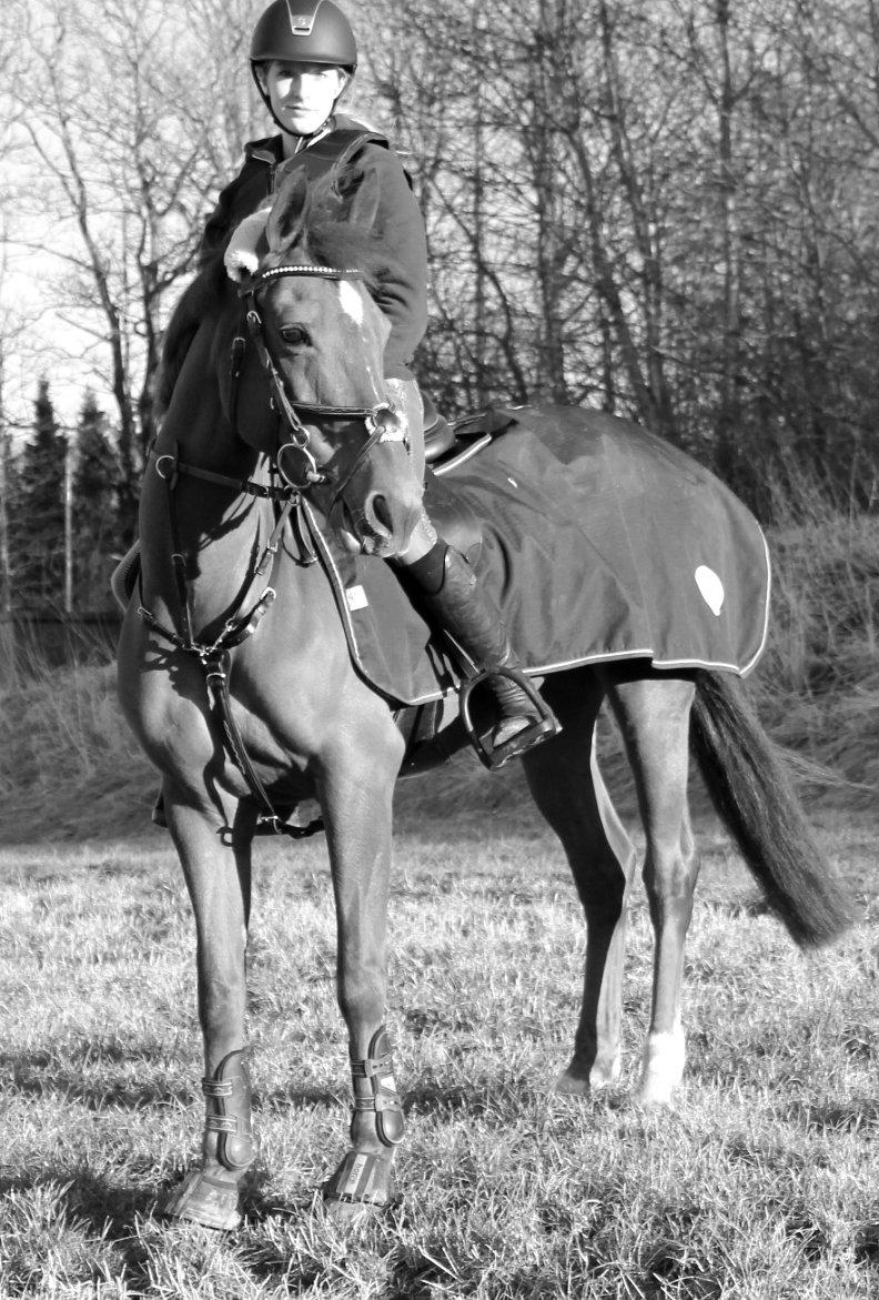 Anden særlig race Clements Penelope billede 12