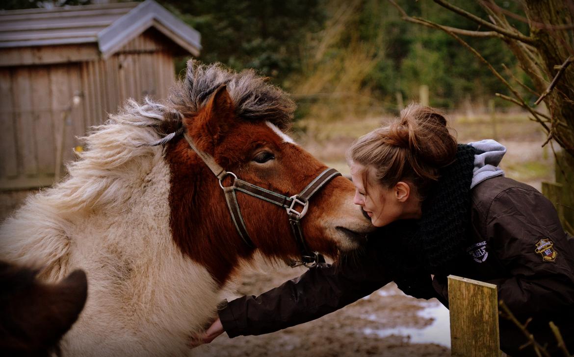 Islænder Mímir fra Havshøj - I never wanted the stars, never shot for the moon, I like them right where they are... all I wanted was you! billede 2