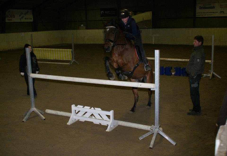 Anden særlig race Balou. - Balou og jeg til springtræning. <3 billede 1