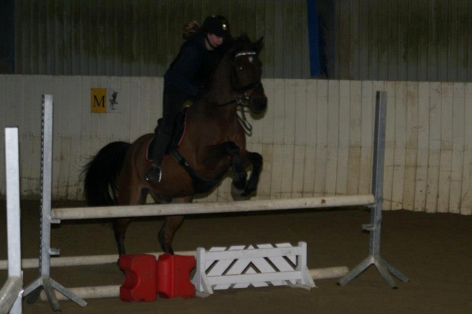 Anden særlig race Balou. - Min skat! <3 billede 2