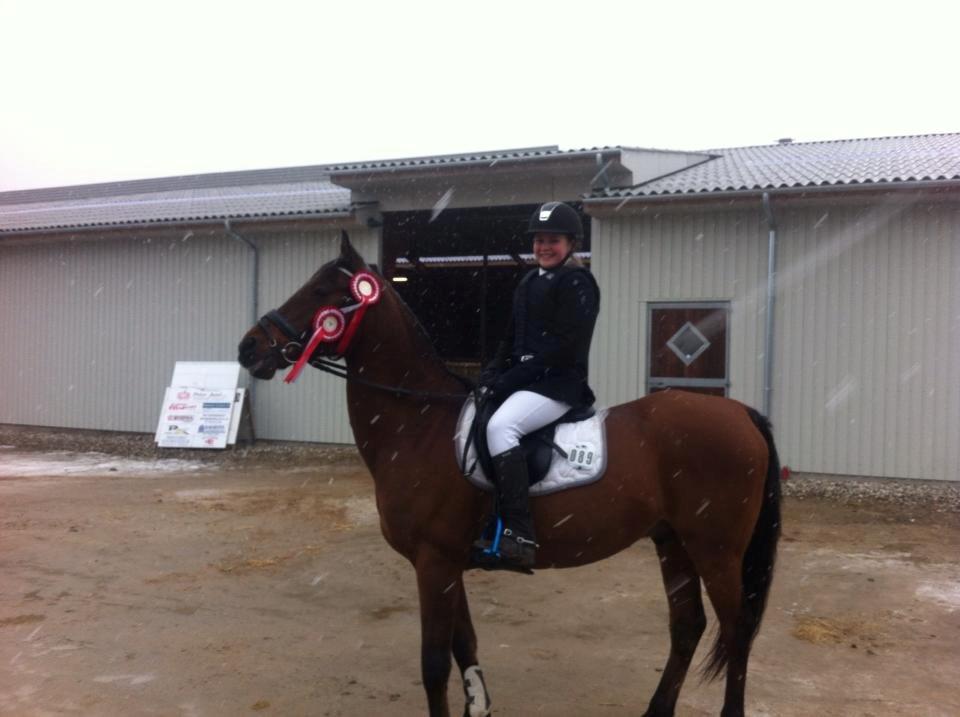 Anden særlig race Balou. - Balou og mit første stævne sammen! <3 
Lb* & Lb** billede 3