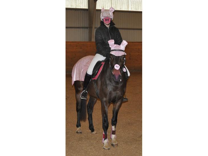 {{currentPhoto.altText}} billede {{currentPhoto.number}}