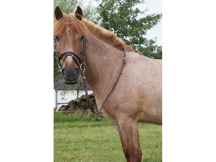 {{currentPhoto.altText}} billede {{currentPhoto.number}}