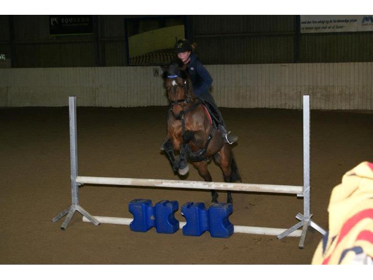 {{currentPhoto.altText}} billede {{currentPhoto.number}}