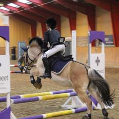 Anden særlig race JOHNNY