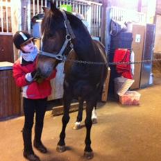 Anden særlig race Zybilla R.I.P. - 17/4-2013