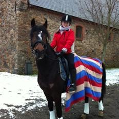 Anden særlig race Zybilla R.I.P. - 17/4-2013