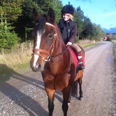 New Forest Odbjergs Amelie