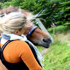 Islænder Stefnir fra Høgsbro