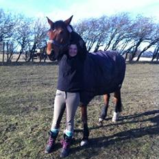 Dansk Varmblod Lucky Capana