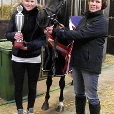 DSP Fredbo's Garmin KÅRET HINGST