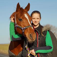 Tysk Sportspony Celette