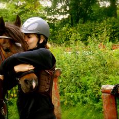 Tysk Sportspony Timo 215¨