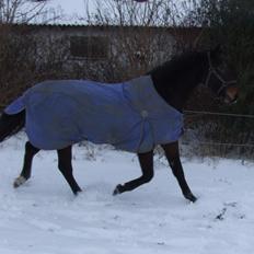 Oldenborg Palnatoke af Hethe