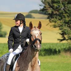 Appaloosa The touch of coco