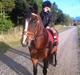 New Forest Odbjergs Amelie