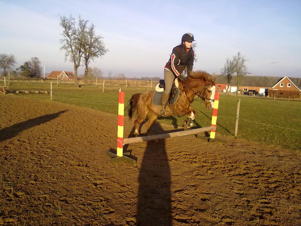 Anden særlig race Topsy - 40 cm. billede 10