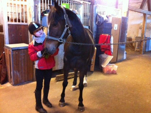 Anden særlig race Zybilla R.I.P. - 17/4-2013 billede 3