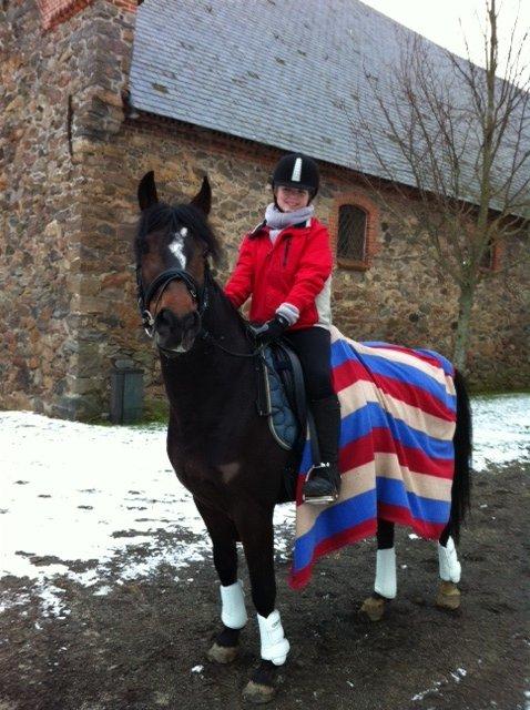 Anden særlig race Zybilla R.I.P. - 17/4-2013 billede 2