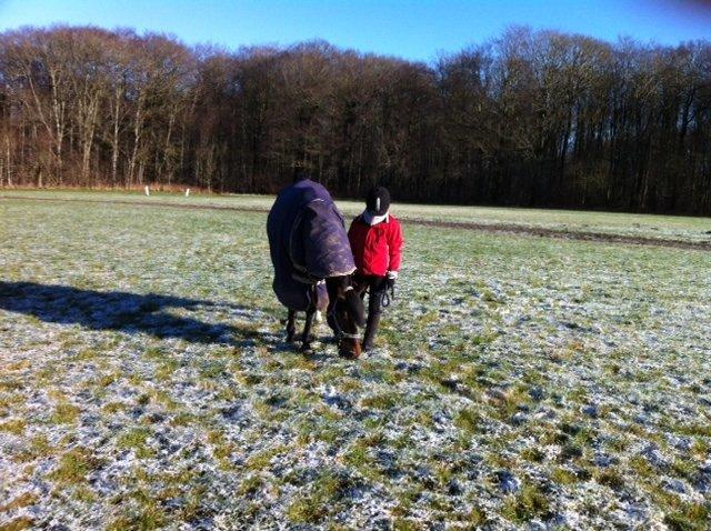 Anden særlig race Zybilla R.I.P. - 17/4-2013 billede 4